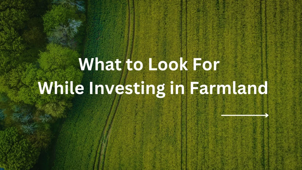 What to Look For While Investing in Farmland