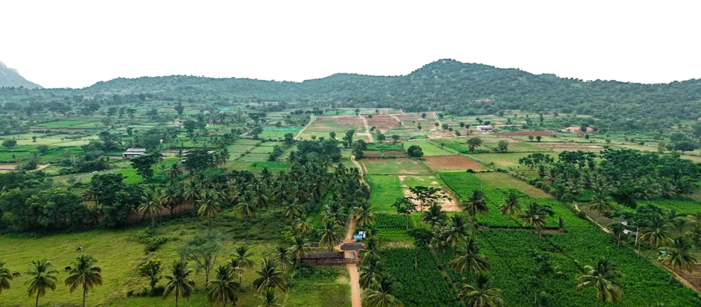 Prakruthi by Hasiru Farms Desktop Banner