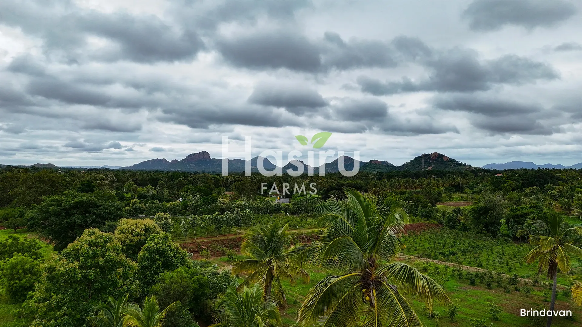 managed farmland bangalore