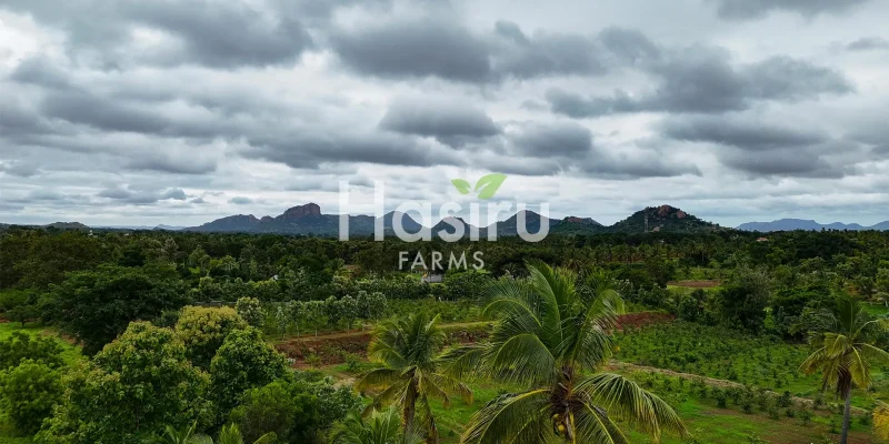 managed farmland bangalore