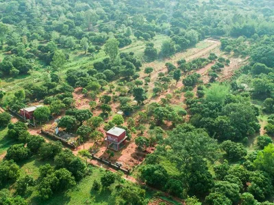 Hasiru Farms